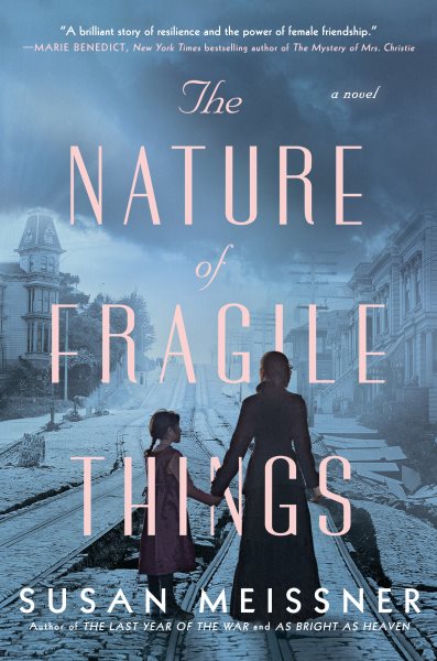 The Nature Of Fragile Things by Susan Meissner