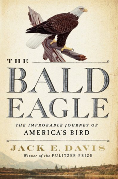 The bald eagle 